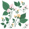 A branch of a blossoming tree. Leaves and flowers. Isolated vector botanical clip art element for design Royalty Free Stock Photo