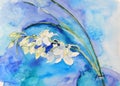 A branch of a blossoming white orchid on a light blue textural background. Watercolor sketch