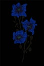 Branch of blue cornflowers. Vector illustration. Royalty Free Stock Photo