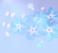 Branch of blue forget-me-not flowers - vector illustration Royalty Free Stock Photo