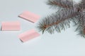 The branch of blue spruce lies on a light green textured background. Nearby are pasted three paper stickers. Royalty Free Stock Photo