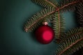 A branch of blue spruce with red christmas ball on green background. Royalty Free Stock Photo