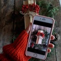 A woman photographs a book with viburnum and spruce branches from a smartphone, Royalty Free Stock Photo
