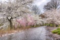 Branch Brook Park