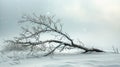 A branch buckles under the weight of heavy snow as a blizzard creates a desolate and unforgiving landscape Royalty Free Stock Photo