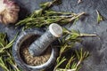 Branch bunch fresh rosemary and garlic spices Royalty Free Stock Photo