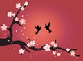 A branch of cherry blossoms with birds at sunset. Royalty Free Stock Photo