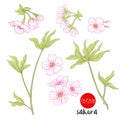 Branch of cherry blossoms, japanese cherry. Stock line vector il Royalty Free Stock Photo