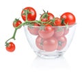 Branch of cherry tomato salad bowl Royalty Free Stock Photo