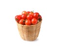 cherry tomatoes in basket isolated on white background Royalty Free Stock Photo