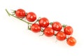 Branch of cherry tomatoes isolated on white background Royalty Free Stock Photo