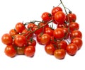 branch of cherry tomatoes, isolated on white background Royalty Free Stock Photo