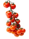 branch of cherry tomatoes, isolated on white background Royalty Free Stock Photo