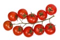 Branch of cherry tomatoes