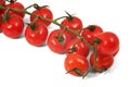 Branch of cherry tomatoes