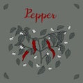 A branch of chili pepper, painted with four red peppers, flowers and leaves with shadows and the inscription `Pepper` on a gray-
