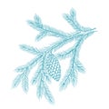 Branch christmas blue tree with snow. Conifer spruce. Frosty winter. New year fir-tree postcard. Hand drawn contour