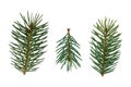 Christmas pine tree isolated on white without shadow Royalty Free Stock Photo