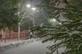 A branch of a Christmas tree in the light of lanterns on a snowy alley