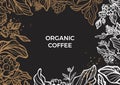 Branch of coffee tree with leaves, flowers and coffee beans. Vector template