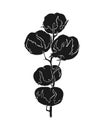 Branch cotton with cotton bolls, hand drawn black silhouette of plant flower. Isolated, white background.