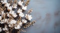 branch of cotton flowers