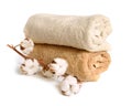 Branch of cotton and two baige cotton towels isolated on white background.