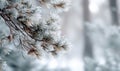 A branch covered in snow and ice Royalty Free Stock Photo