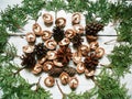 branch cypress forest cones and walnuts lie on a white background Royalty Free Stock Photo