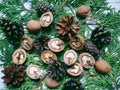 branch cypress forest cones and walnuts lie on a white background