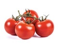 Branch of delicious fresh tomatoes, isolated on white background Royalty Free Stock Photo