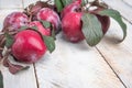 Branch of delicious red plums on a wooden background