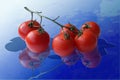Macro, object, meal, vegetables, eating, sauce, ketchup, tasty, freshness, branch, group, plant, agriculture, leaf, diet, ingredie