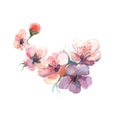 The branch dissolve flowers watercolor painting watercolor