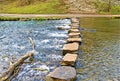 A branch beside Dovedale stepping stones, in Dovedale, Derbyshire. Royalty Free Stock Photo