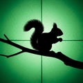 The branch extends horizontally showcasing the squirrel s natural posture Royalty Free Stock Photo