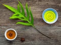 Branch of fern leaves with nature spa ingredients cinnamon powder ,aromatic oil in spiral ceramic bowl and star anise on rustic b Royalty Free Stock Photo