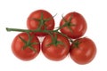 Branch with five tomatoes on a white background Royalty Free Stock Photo