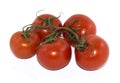 Branch from five red tomatoes Royalty Free Stock Photo