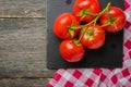 Branch with five ripe red tomatoes. Drops of water on ripe fruits. Green leaves and trunk. Royalty Free Stock Photo