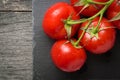 Branch with five ripe red tomatoes. Drops of water on ripe fruits. Green leaves and trunk. Royalty Free Stock Photo