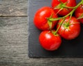 Branch with five ripe red tomatoes. Drops of water on ripe fruits. Green leaves and trunk. Royalty Free Stock Photo