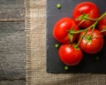 Branch with five ripe red tomatoes. Drops of water on ripe fruits. Green leaves and trunk. Royalty Free Stock Photo