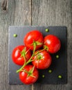 Branch with five ripe red tomatoes. Drops of water on ripe fruits. Green leaves and trunk. Royalty Free Stock Photo