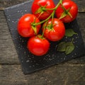 Branch with five ripe red tomatoes. Drops of water on ripe fruits. Green leaves and trunk. Royalty Free Stock Photo