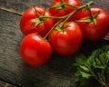 Branch with five ripe red tomatoes. Drops of water on ripe fruits. Green leaves and trunk. Royalty Free Stock Photo