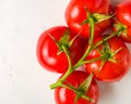 Branch with five ripe red tomatoes. Drops of water on ripe fruits. Green leaves and trunk. Royalty Free Stock Photo