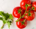 Branch with five ripe red tomatoes. Drops of water on ripe fruits. Green leaves and trunk. Royalty Free Stock Photo