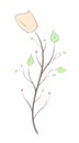 Branch with flower and leaves in an artistic style on a white background