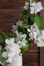 A branch of a flowering apple tree in a vase on a wooden background. Royalty Free Stock Photo